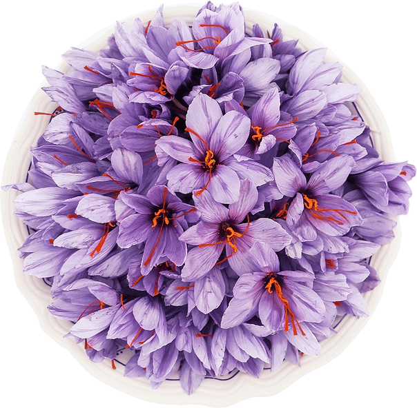 hintroFlowerImg Original Kesar