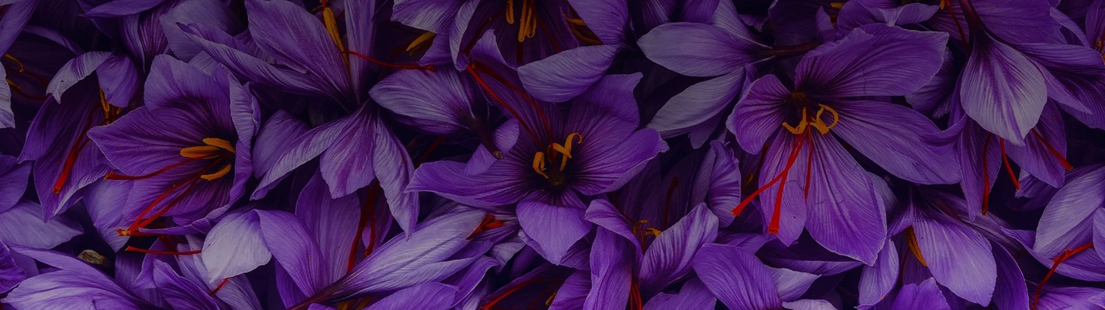 super negin saffron